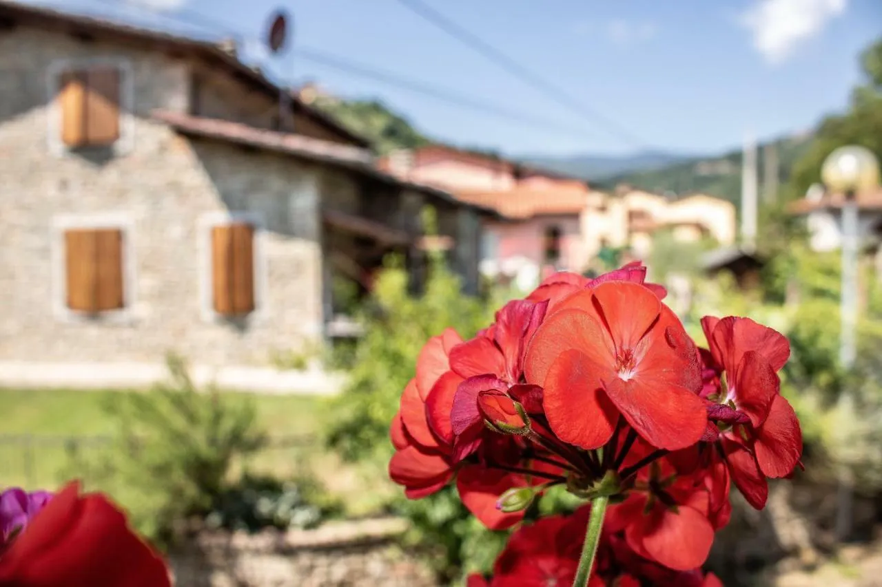 B&B La Casa D'Artista Ortignano Raggiolo Bed & Breakfast
